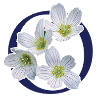 Oxalis Osteopathy