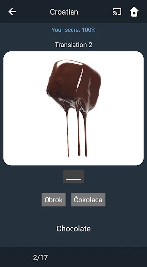 Learn Croatian. Speak Croatian. Study Croatian. Screenshot 3
