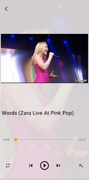 Zara Larsson Songs Offline Screenshot 3