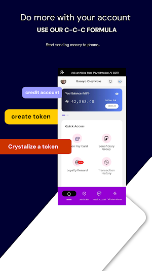 Paywithtoken Screenshot 1