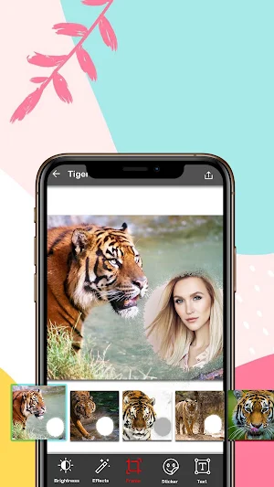 Tiger Photo Editor and Frames Screenshot 0