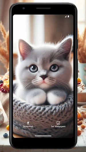 Wallpaper Kucing Lucu dan Imut Screenshot 2