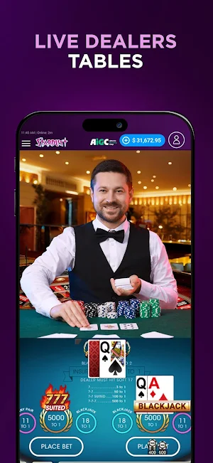 Stardust Casino: Alberta Screenshot 2