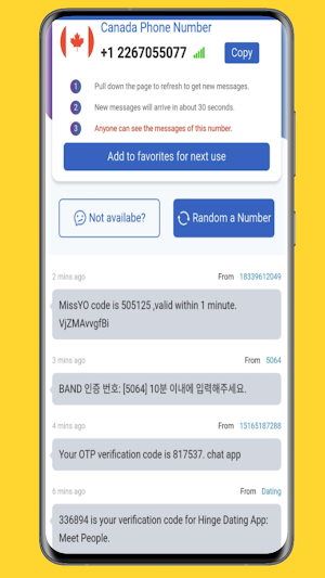 Temp Number: Verification SMS Screenshot 3
