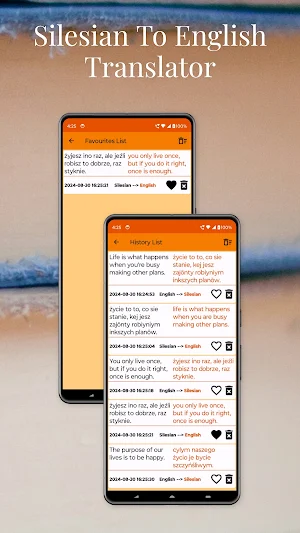 Silesian To English Translator Screenshot 3