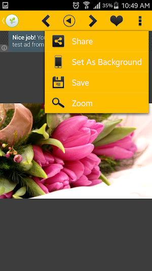 Flowers Wallpaper 2016 Screenshot 2