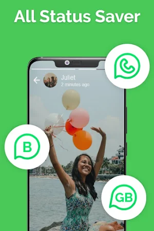 Story Downloader For Whatsapp Screenshot 0