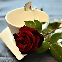 Buenos días Buenas noches amor
