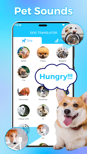 Talk To Dogs - Dog Translator Screenshot 2