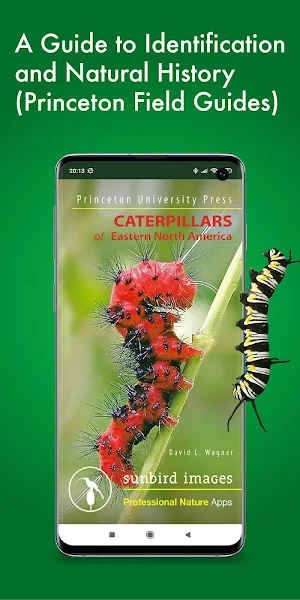 Caterpillar Id USA East Coast Screenshot 0