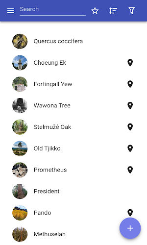 Famous trees Screenshot 0