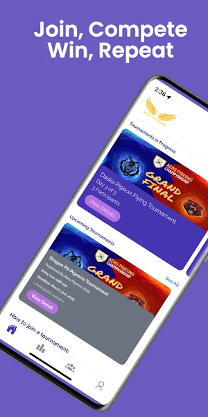 Aero Pigeons Screenshot 0
