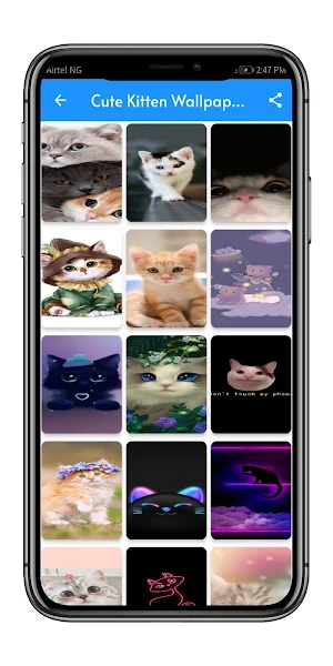 Cute Kitten Wallpaper Screenshot 3