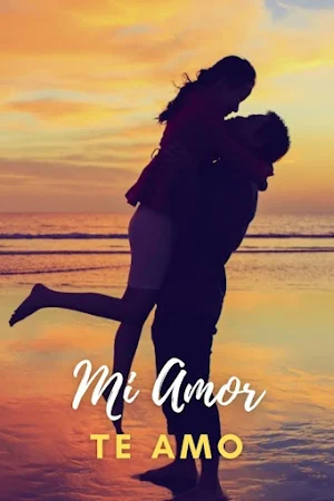 Mi amor te amo Screenshot 3