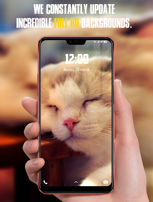 Animal Wallpapers HD Screenshot 0