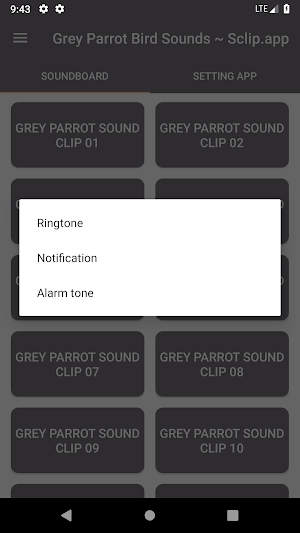 Grey Parrot Bird Sound Collections ~ Sclip.app Screenshot 2
