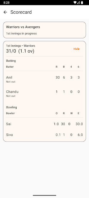 Cricket Counter Pro Screenshot 3