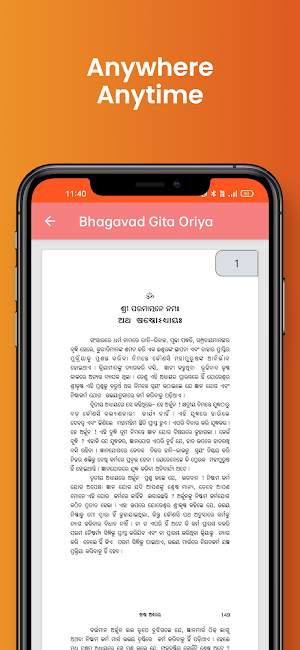 Bhagavad Gita In Oriya Screenshot 3