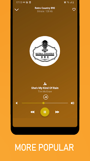 Old Country Music: Classic Country Songs Screenshot 2