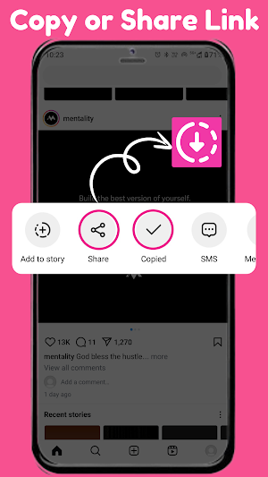 Insvid Video, Story Downloader Screenshot 0