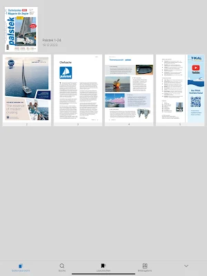 Palstek App Screenshot 2