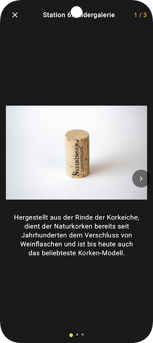 Loisium Audioguide Screenshot 3