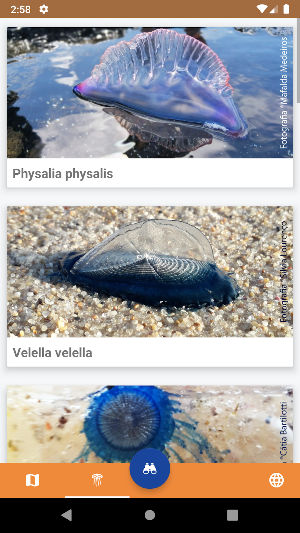 GelAvista Screenshot 2