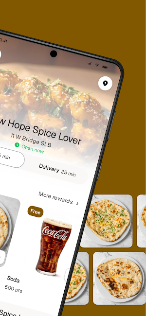 New Hope Spice Lover Screenshot 1