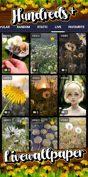 dandelion wallpaper Screenshot 2