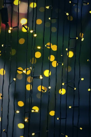 القرآن الكريم - صوت و صورة screenshot 6