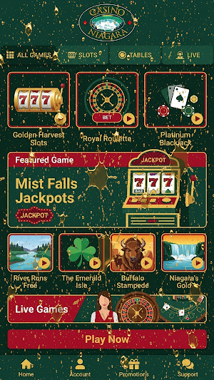 Niagara Casino Screenshot 1