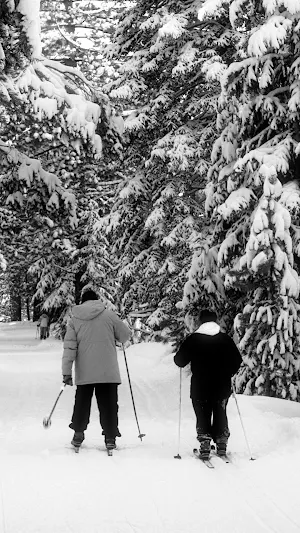 Cross country Skiing Wallpaper Screenshot 1
