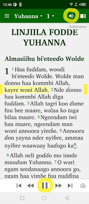 Fulfulde Dewtere Screenshot 0