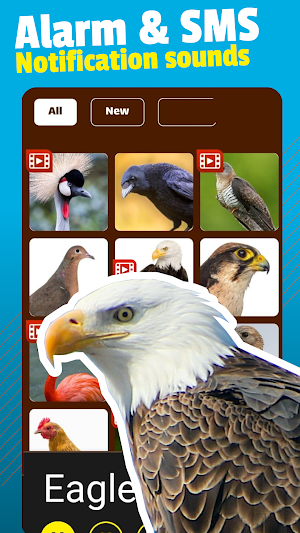 Bird Sounds and Ringtones Screenshot 1