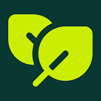GreenSteps: Together, We Grow