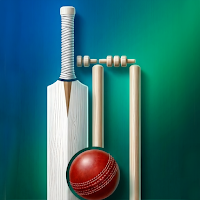 OG Cricket Game -Retro 2D Game