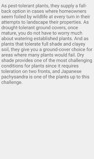 Japanese Spurge Screenshot 3