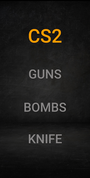 CS 2 Gun Sounds Screenshot 0