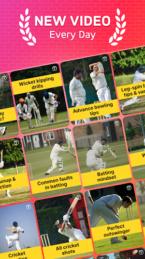Cricket Tips Videos Screenshot 3