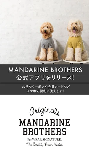 MANDARINE BROTHERS Screenshot 0