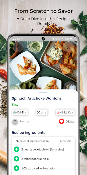 Asian Recipes Screenshot 3