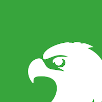 Hawk VPN: Fast Secure Proxy