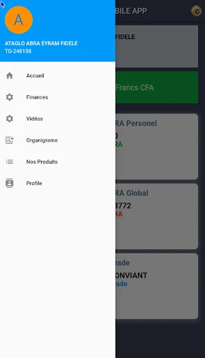 AFRIQUADIS Screenshot 0