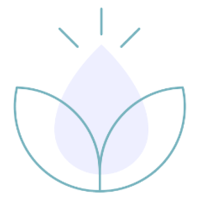 Zen IV Therapy