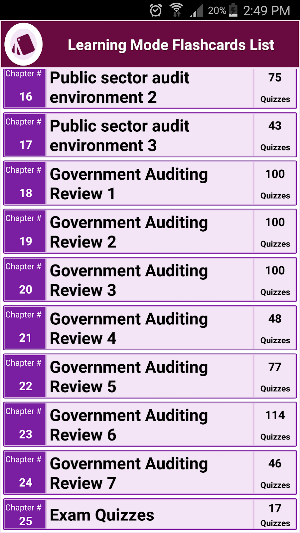 Government audit professional  Screenshot 2