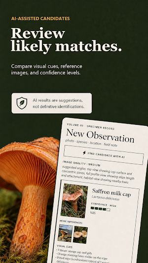 FungiLog: Mushroom Map & ID Screenshot 2