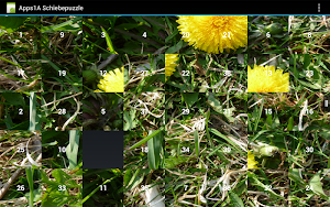 Sliding Tiles Puzzle Screenshot 1
