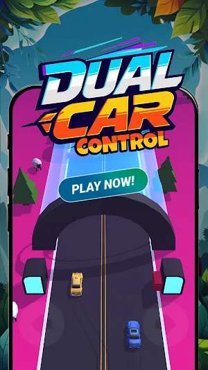 2 Cars Control Screenshot 0