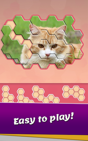 Block hexa puzzle - Animals Jigsaw Screenshot 1