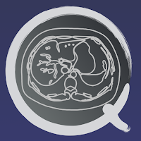 CT PassQuiz Abdomen / sectional anatomy / MRI